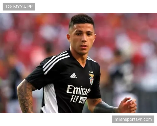 世界杯一战封神：恩佐如何改变职业生涯轨迹